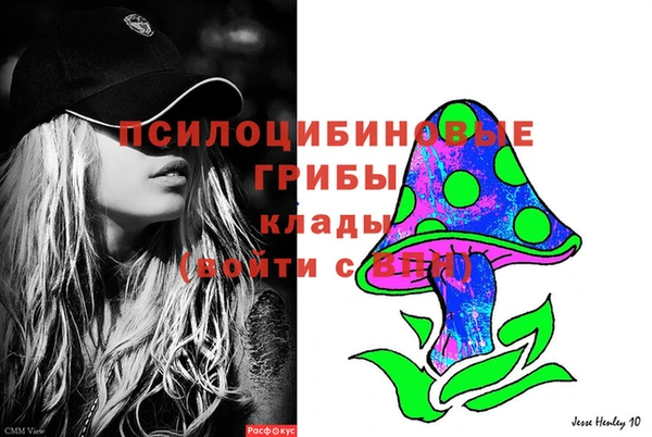 экстази Дмитров