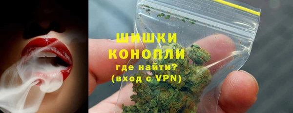 ПСИЛОЦИБИНОВЫЕ ГРИБЫ Гусь-Хрустальный