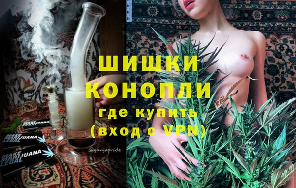 ПСИЛОЦИБИНОВЫЕ ГРИБЫ Гусь-Хрустальный