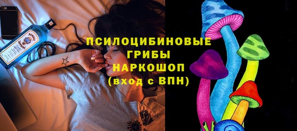 гидра Дмитровск