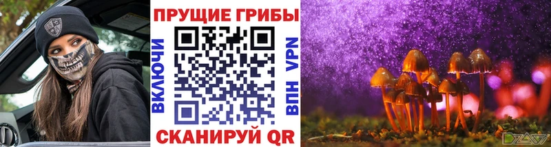 Купить где Светлый Галлюциногенные грибы Cubensis